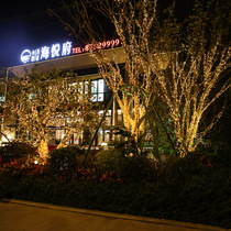 LED small color light flashing light string light full of stars outdoor waterproof colorful atmosphere light room courtyard camping decoration light