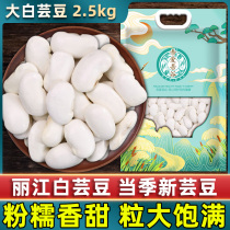 White kidney beans 5kg new big kidney beans grains miscellaneous beans Yunnan farmhouse self-produced big white beans