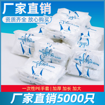Disposable gloves pe plastic transparent food grade protection thickened durable film dining and beauty salon boxed gloves