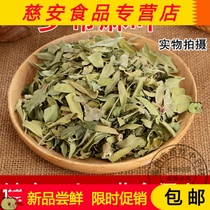Chinese herbal medicine apocynum leaf Xinjiang wild apocynum tea fresh dry goods 500g g