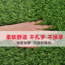 Simulation artificial turf professional football field fake lawn anti-aging Zhengzhou fence grass artificial kindergarten plastic 1