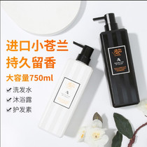 ALPAALIN shampoo conditioner Charlene Flagship Store Long-lasting fragrance moisturizing dry skin for male and female students