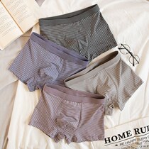 Underwear Men Adult Loose Four Corner Pants Stripes Modale Cotton Flat Corner Large Yard Male shorts comfortable and breathable