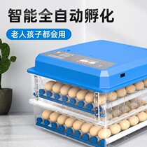 Electric incubator household egg incubator incubator oviposition machine small incubator chicken egg holding device heating machine floating