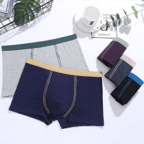 2021 new underwear mens boxers cotton youth breathable boxer pants mens summer trend Big Red