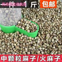 Hemp seeds medium granules hemp seed pigeon food bird food bird food parrot feed full of 1kg