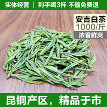 Anji White Tea -1000 Jin Guijia Tea Industry New Tea Kuntong Zhulin Mountain Original High-end Boutique Fresh and Strong Fragrance