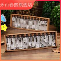 A set of 12 retro wishing bottles constellation lucky bottle glass cork drifting bottle creative home pendant