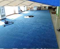 Blue non-slip thickened carpet 8-12mm elbow yarn carpet bedroom office dance room Y martial arts hall ground