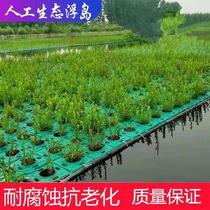 Water spinach floating island soilless cultivation Pot Creek courtyard breathable water planting floating bed vegetable biological artificial