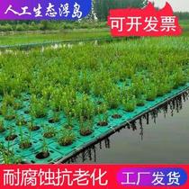 Indoor rice viewing fish Environment Park water planting floating bed spinach repair foam block ground planting fish farming