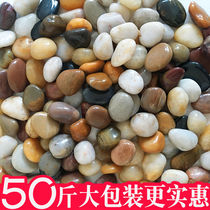 Pebble stone large 50kg paving Paving ground courtyard garden natural big stone rain flower stone raw stone geese soft warm