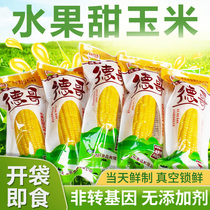 Dego fruit sweet corn fresh vacuum bag non-GMO low-fat meal replacement without cooking open bag 10