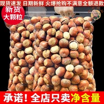 Open cooked hazelnut nuts 500g bulk American dried fruit pregnant woman snacks Non-Northeast specialty Tieling non-wild