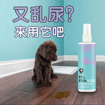 Dogs such as toilet-inducing agents relieve themselves of dung and feces training and pee defecation to locate the pet on the toilet guiding the deity