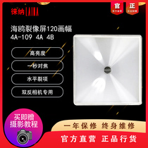 Leica Seagull 120 Dual MIRROR4A 4B 4C 4 camera horizontal split image focus screen