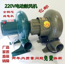 Blower adjustable speed governor small silent boiler 220v barbecue oven special powerful firewood stove household