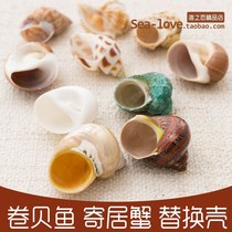 Natural shell conch roll shellfish hermit crab replacement special shell fish tank landscaping ornaments aquarium decoration