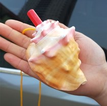 Natural big conch whistle snail horn blowing shell crafts creative toys children gifts can blow ornaments