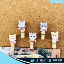 5 kittens pushpins clip small red book ins dont hurt photos leave message felt cork board Press nail