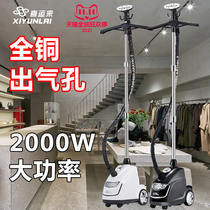 Xiyunili steam hanging ironing machine commercial ironing machine vertical household clothing store high power iron ironing machine