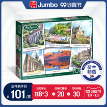 Dutch jumbo jumbo jigsaw falcon series adult 1000 pieces imported jigsaw puzzle for children