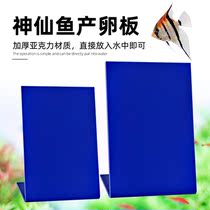 Anxian fish swallows breeding board spawning plate breeding tank spawning plate breeding tank spawning tank incubator