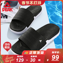 Peak state polar 20 cool autumn slippers breathable beach new tai chi lovers slippers casual sports sandals