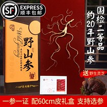 (National Inspection Wild Mountain Ginseng) Changbai Mountain Ginseng Gift Box Forest Ginseng Mountain Ginseng with Hand Gift Box Wild Ginseng