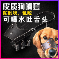 Dog Mouthpiece Mouthpiece Mouthpiece Mouthpiece Mouthpiece Mouthpiece Mouthpiece Mouthpiece Mouthpiece Mouthpiece Mouthpiece Mouthpiece Mouthpiece Mouthpiece Mouthpiece Mouthpiece Mouthpiece Mouthpiece Mouthpiece Mouthpiece Mouthpiece Mouthpiece Mouthpiece Mouthpiece Mouthpiece Mouthpiece