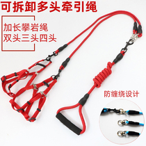 Two dogs traction rope One drag two dog chains Sub-head bulls detachable Anti-wound small and medium dog Walking Dog Rope