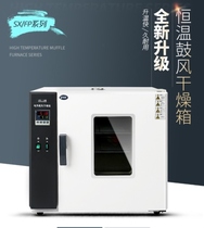 Hot heating coating constant temperature small electric reinforcement dryer industrial uniform vacuum electric heat 300 oven