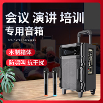 Outdoor dancing square dance lever sound outdoor singing karaoke portable small mobile speaker shop meeting dance studio training special audio high-end Bluetooth wireless with microphone performance