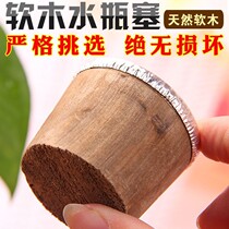 Warm water kettle warm water bottle cap hot water bottle stopper lid accessories heat preservation pot cover wood plug warm water sealing plug hot water bottle