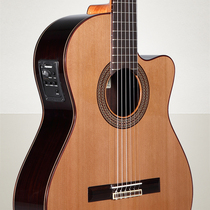 Aldamira N300CE Single Board Electric Box Nylon String Guitar