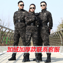Genuine cotton camouflage suit men spring and winter plus velvet thickened training clothes wear-resistant new security overalls women