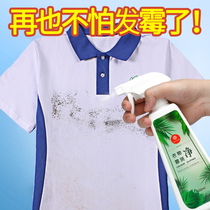 Clothes mildew remover mold spot remover mold cleaner mold black spot remover washing white clothes stain remover artifact