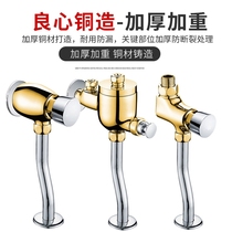 ~ Flush valve faucet switch Flushing urinal delayed hand press type mens toilet urinal toilet urinal toilet