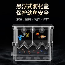 Incubator tank suspension isolation box Peacock zebrafish small oversized ovipositor breeding box