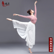 Classical dance dress female elegant suit Latin dance jacket teacher special teacher practice uniform body training costume