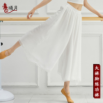 Modern classical dance practice pants female adult performance suit Chiffon elegant loose wide leg pants rhyme dance clothing