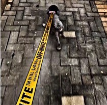 2022 New Pet Faro Pooch Pooch Snownery Shoulder Harness Chest Harness Dog With Pet Traction Rope