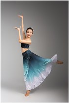 Test performance adult costume keywords Female Performance new clothing Dai moon folk dance fishtail skirt art costume