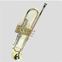 Musical instrument MTR-300G lower B - tuning instrument