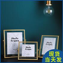 Wholesale Nordic minimal iron frame with glass gold frame 6 inch plant specimen creative cross border