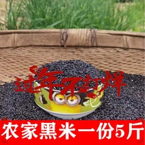 Shaanxi farmers self-produced black rice black glutinous rice Yangxian blood glutinous rice five grains coarse grain rice edible black rice porridge 5 catties
