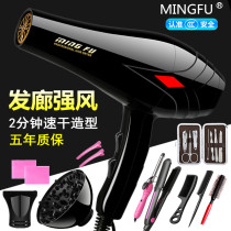 Hair dryer home barber shop size power hair salon special negative ion protection electric wind blower dormitory students