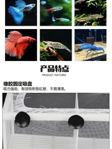 Fish tank isolation box Juvenile fish disease fish injury incubation box Fish peacock phoenix tail breeding special fine net Aquarium isolation net