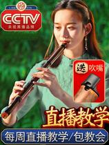 Purple bamboo Xiao musical instrument professional performance big resonance hole flute bamboo section 8 holes 6 holes GF new beginner