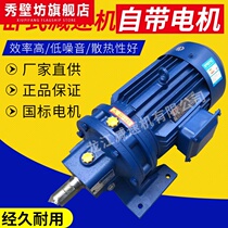 Cycloid pin wheel reducer vertical small horizontal pendulum reducer with national standard copper core motor